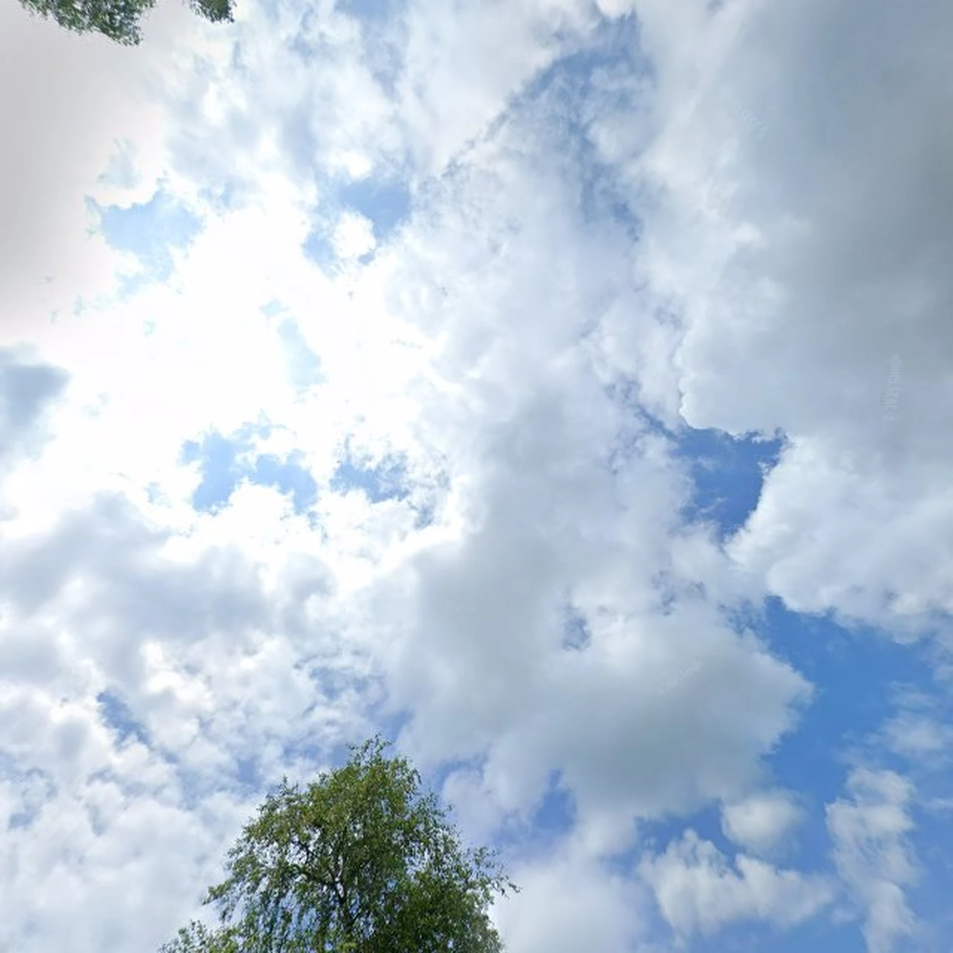 Kringloopwinkel Hekla Kringloop in Wolvega