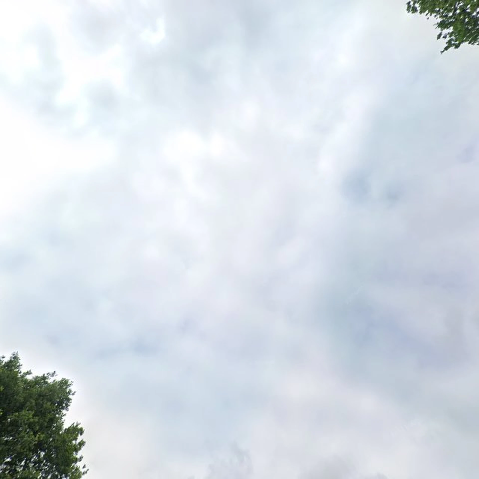 Kringloopwinkel Hekla Kringloop in Wolvega