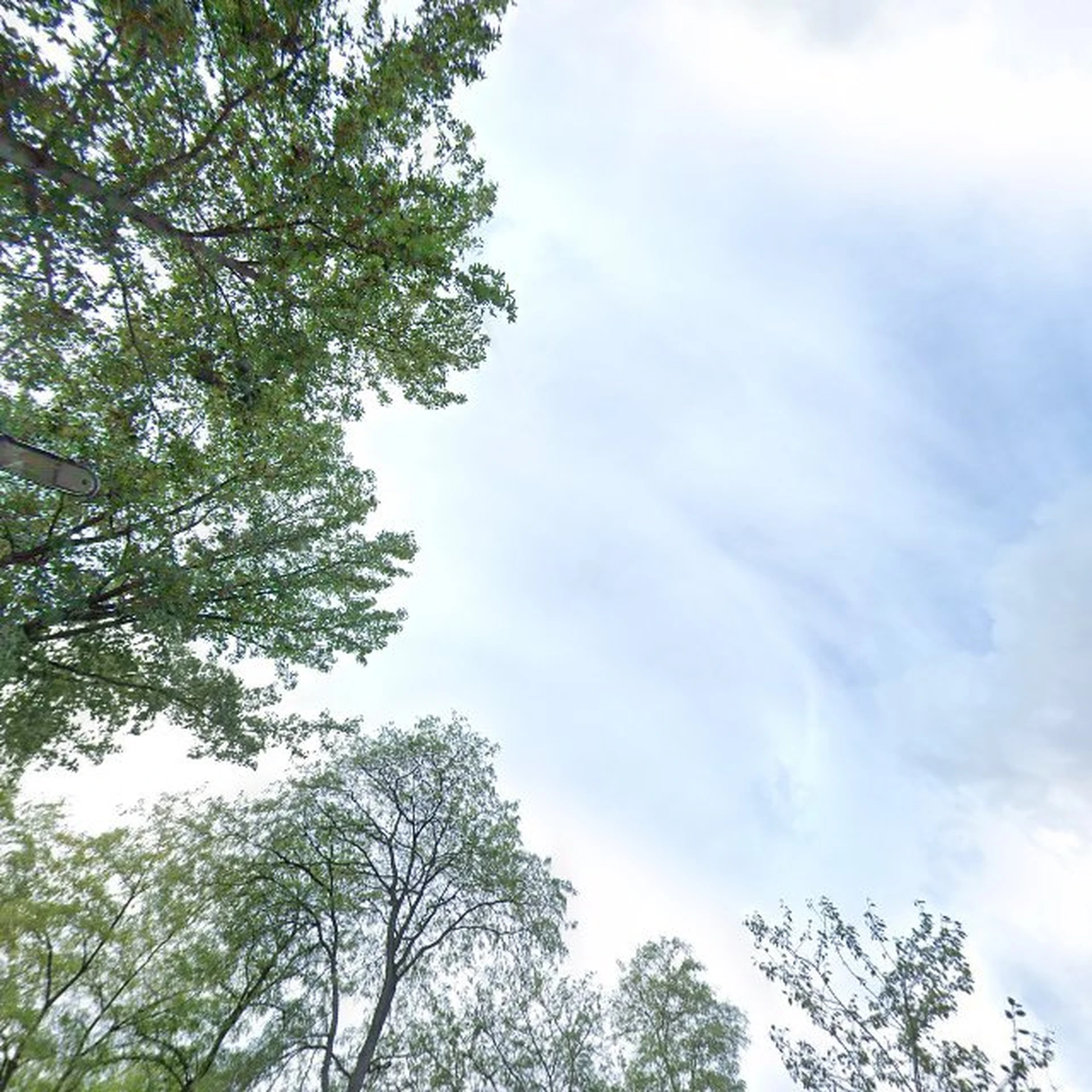 Kringloopwinkel Kringloopwinkel Hergebruik Oosterhout in Oosterhout