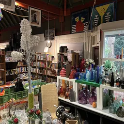 Winkelinterieur met boekenrekken, decoratieve objecten, glazen vazen en bloemen bij het raam
