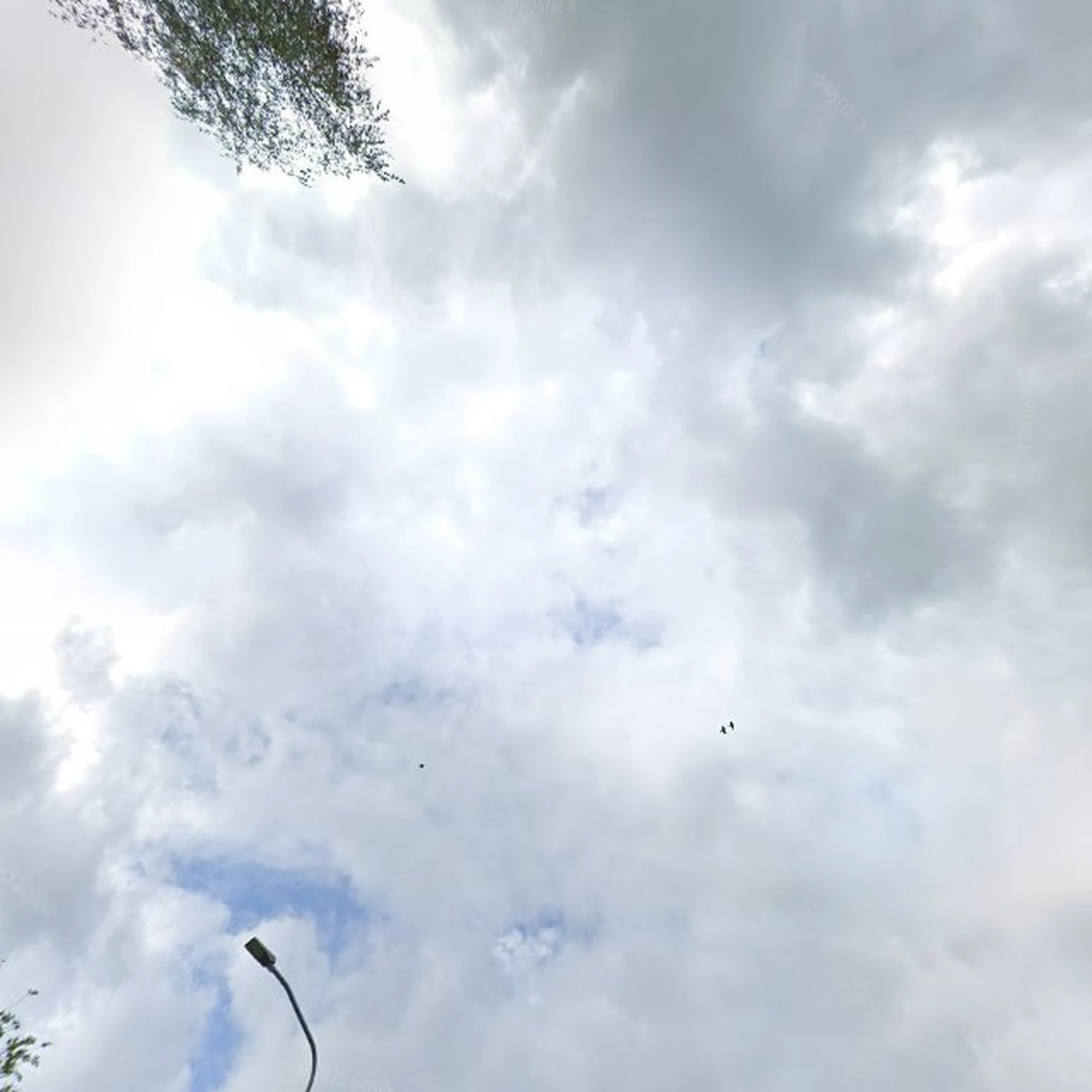 Kringloopwinkel Kringloopwinkel Hergebruik Weiting in Tolbert