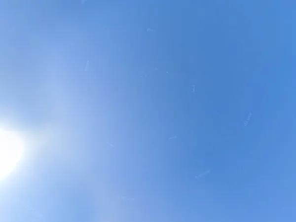 Kringloopwinkel Kringloopwinkel Het Snuffelparadijs in Ridderkerk