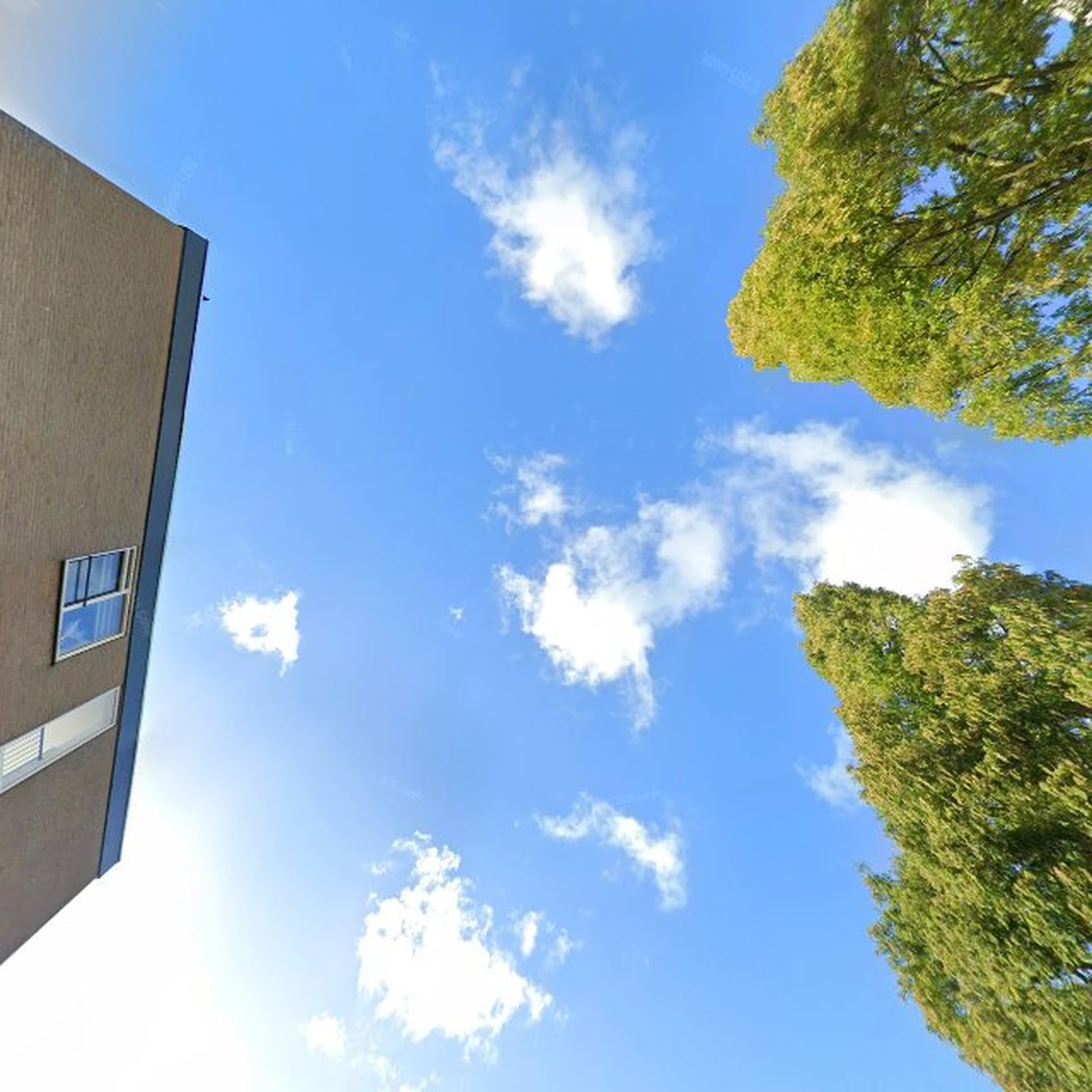 Kringloopwinkel Het Warenhuis Kringloop Zuidwest in Leiden