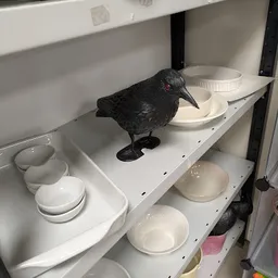 Bezoeker foto van Het Warenhuis Kringloop Zuidwest in Leiden