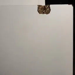 Bezoeker foto van Kringloopwinkel HetBabyGoed in Huissen