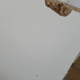 Grotendeels lege grijze muur met hoeken van meubels zichtbaar