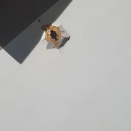 Gat in een witte plafondtegel met beschadigde randen