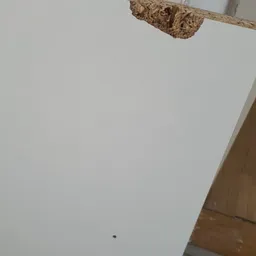 Wit plafond met een donkere vlek en houten rand