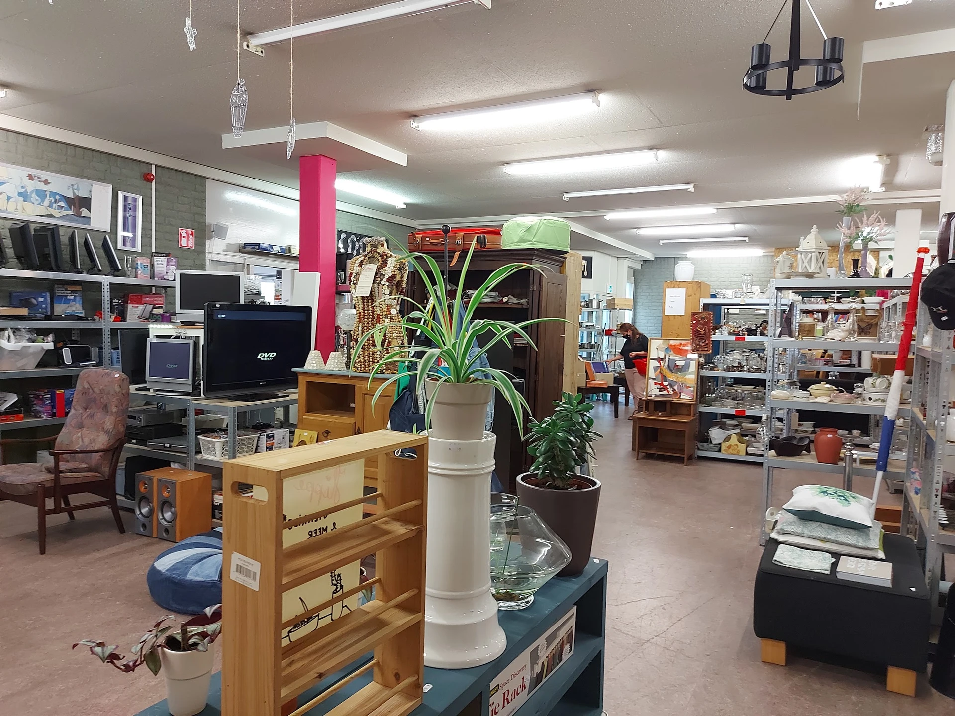 Overzicht van kringloopwinkel met stellingen, boekenkasten, vintage items en een plant op een zuil in het midden