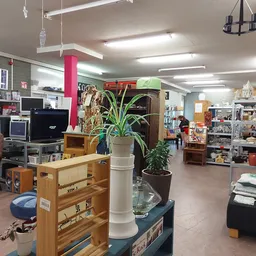 Overzicht van kringloopwinkel met stellingen, boekenkasten, vintage items en een plant op een zuil in het midden