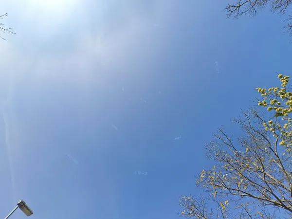 Kringloopwinkel in Julianadorp