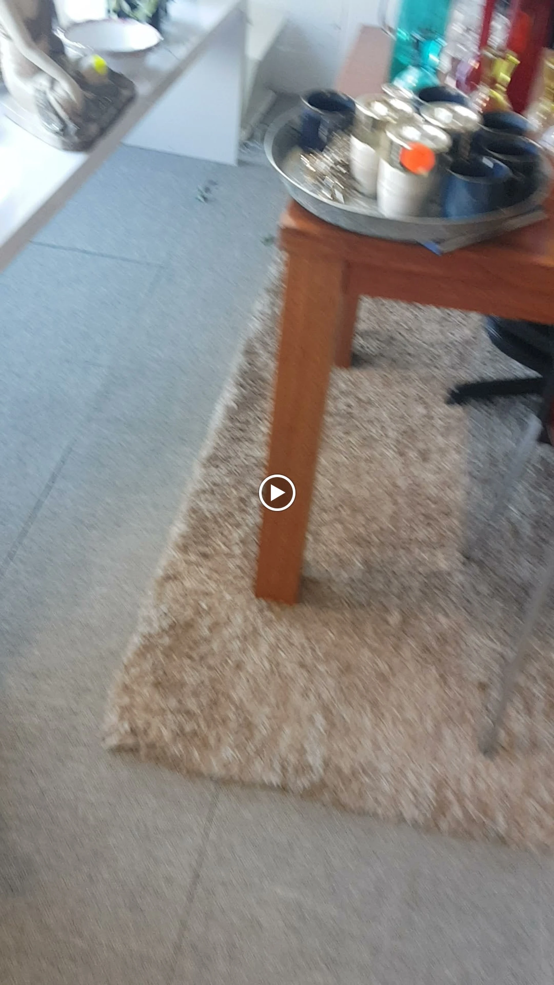 Foto gedeeld door eigenaar van Kringloopwinkel In-loopwinkel en Stichting Paleis Noord in Haarlem