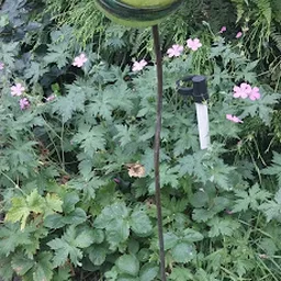 Bezoeker foto van Inboedelhal | Woningontruiming & Kringloopwinkel in Oudehaske