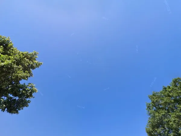 Kringloopwinkel Kringloopwinkel Inbrengwinkel DaRi in Sappemeer