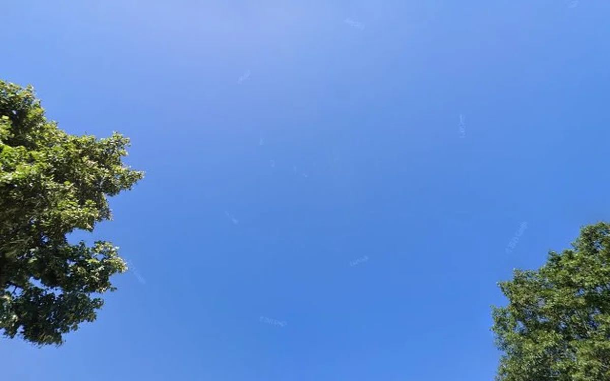 Kringloopwinkel Kringloopwinkel Inbrengwinkel DaRi in Sappemeer