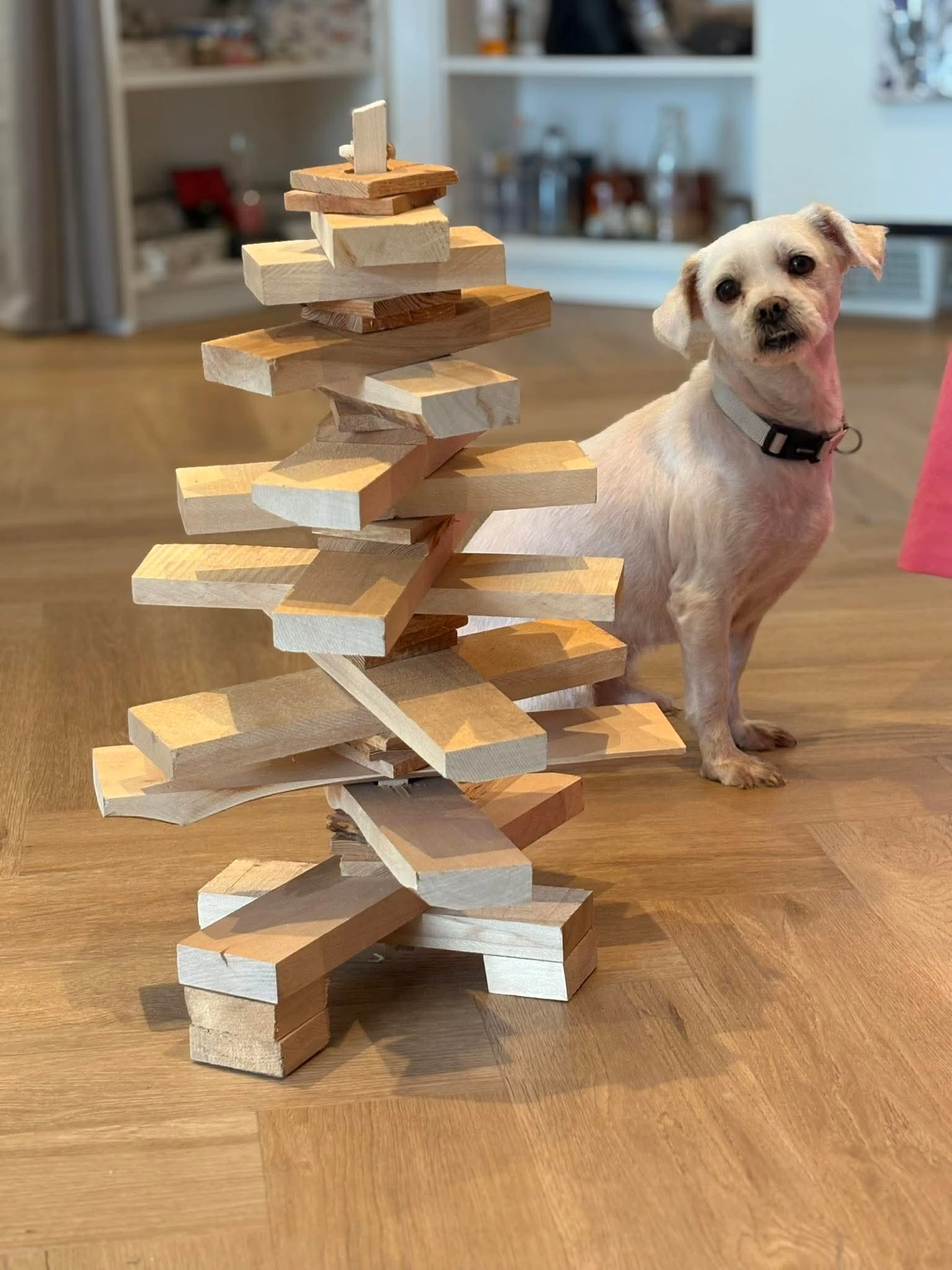 Ivo's Thrift Store in Almere met tweedehands meubels en kleding