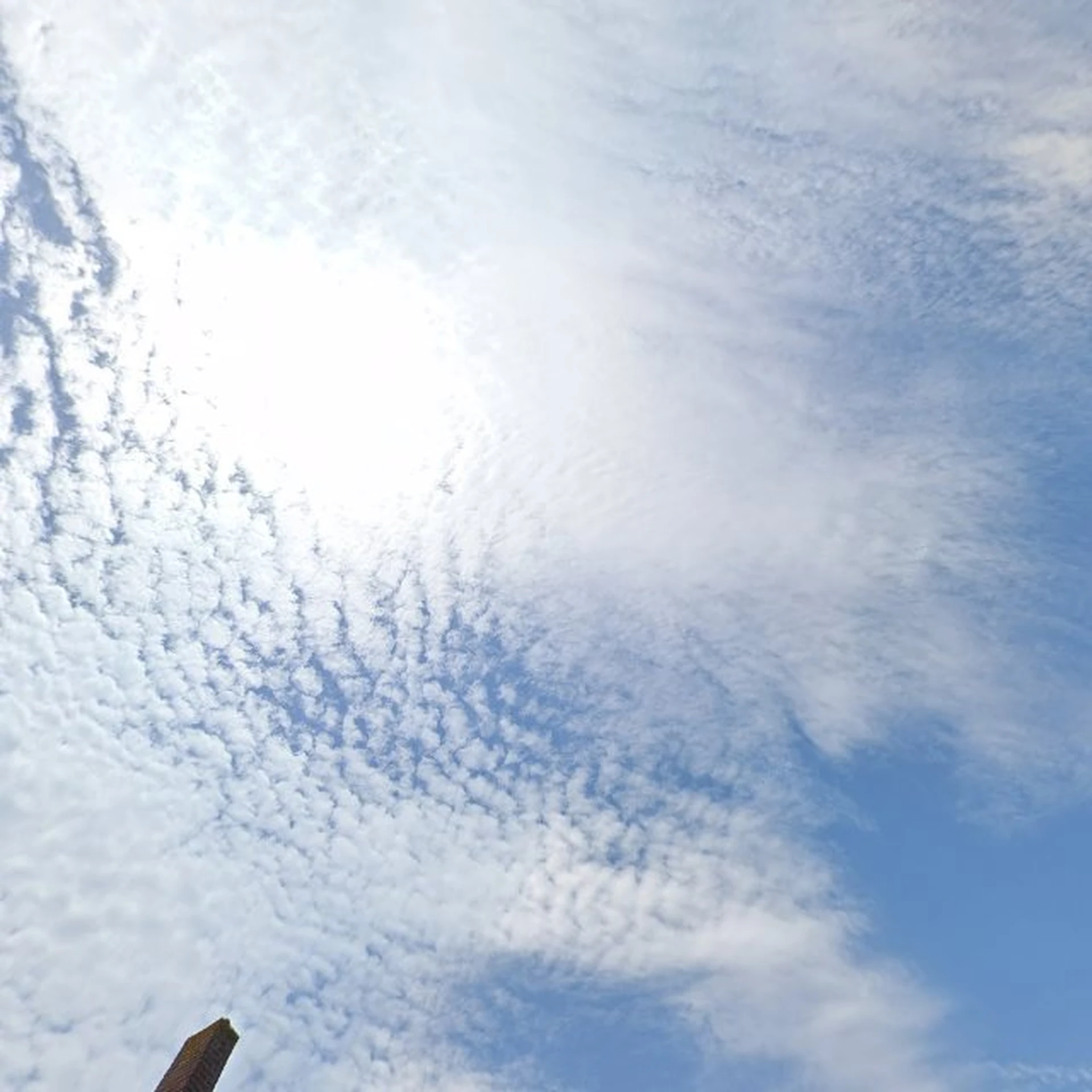 Kringloopwinkel Kringloopwinkel Jouw Marktkraam Hedel - Den Bosch in Hedel