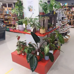 Bezoeker foto van Kringloopwinkel Jouw Winkelkraam in Assen