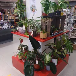 Bezoeker foto van Kringloopwinkel Jouw Winkelkraam in Assen