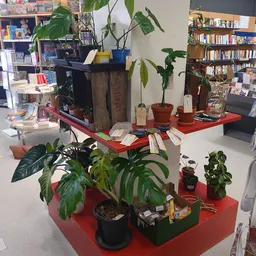 Bezoeker foto van Kringloopwinkel Jouw Winkelkraam in Assen