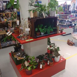 Bezoeker foto van Kringloopwinkel Jouw Winkelkraam in Assen