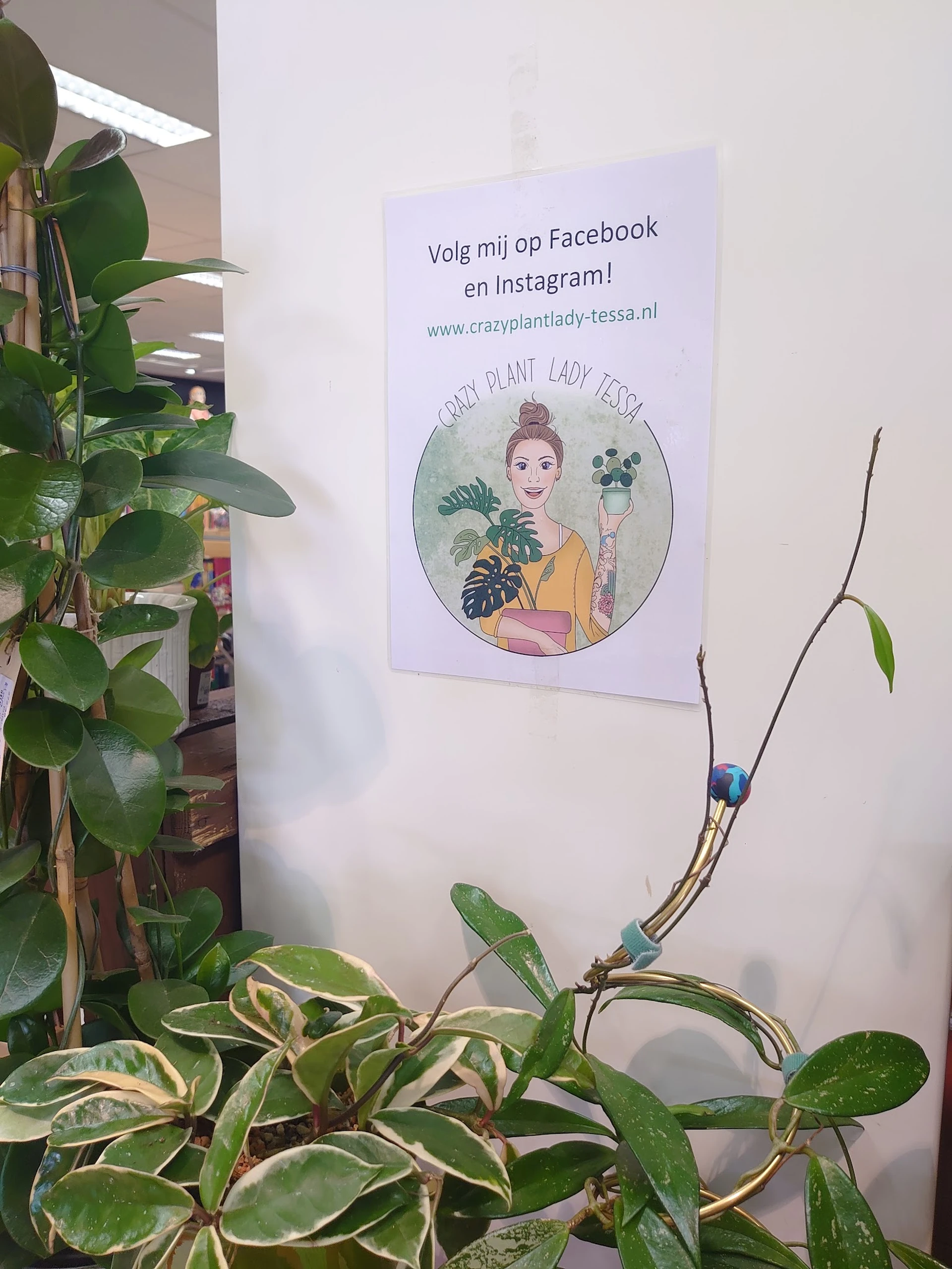Bezoeker foto van Kringloopwinkel Jouw Winkelkraam in Assen