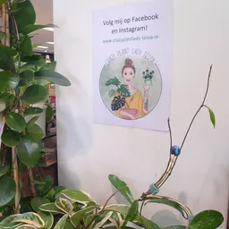 Bezoeker foto van Kringloopwinkel Jouw Winkelkraam in Assen