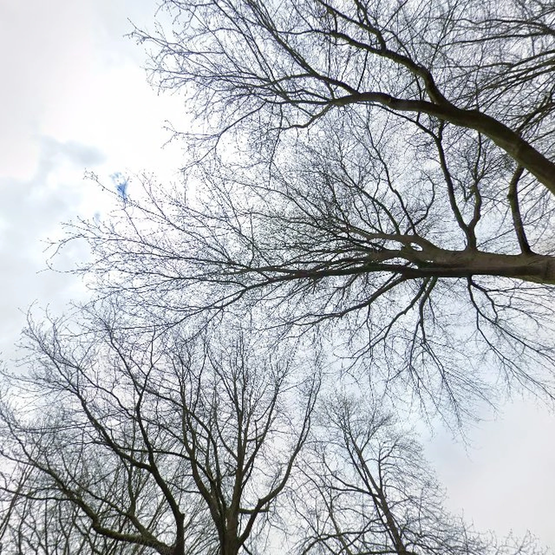 Kringloopwinkel Kringloopwinkel Jouw2dekans in Molenhoek