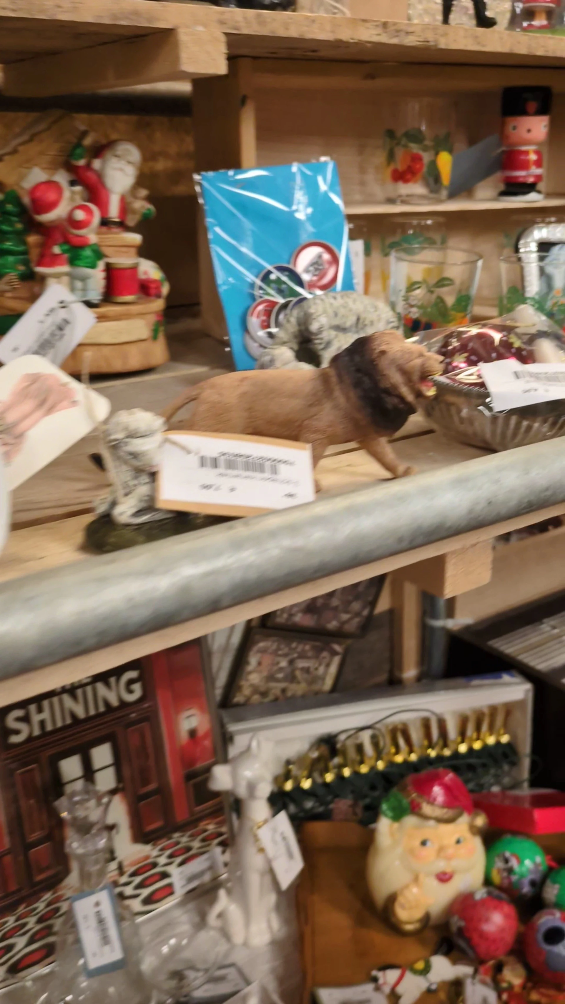 Kringloopwinkel Kringloopwinkel JouWinkel in Dordrecht