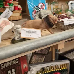 Bezoeker foto van Kringloopwinkel JouWinkel in Dordrecht