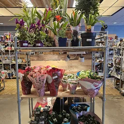 Bezoeker foto van Kringloopwinkel JouWinkel in Dordrecht