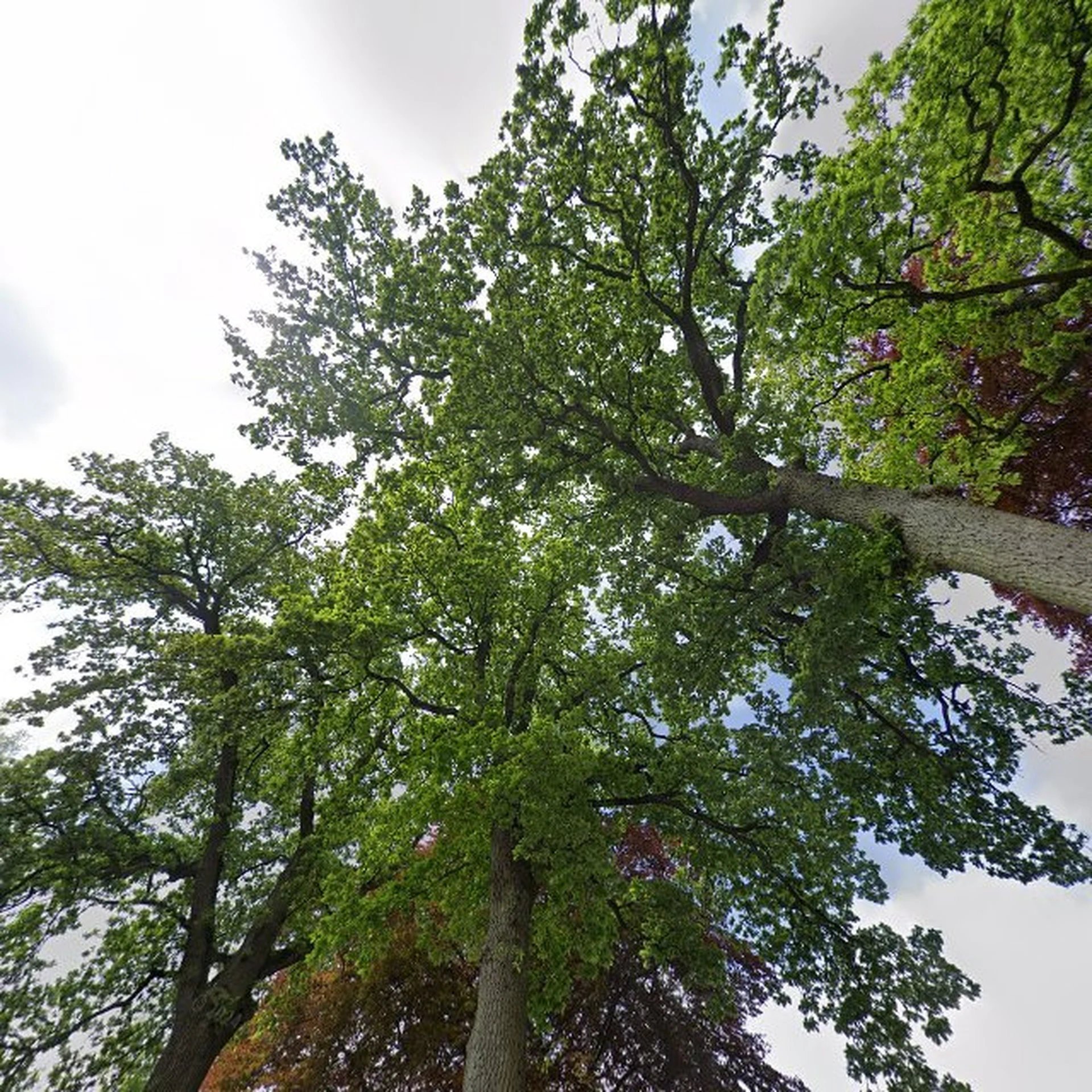 Kringloopwinkel Kringloopwinkel Juffermarkt in Schildwolde