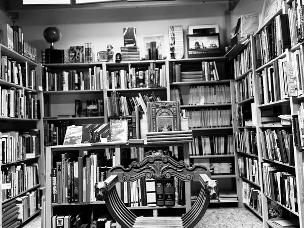 Boekenkasten langs de wanden vol met boeken en LP's, met een decoratief beeldhouwwerk in het midden