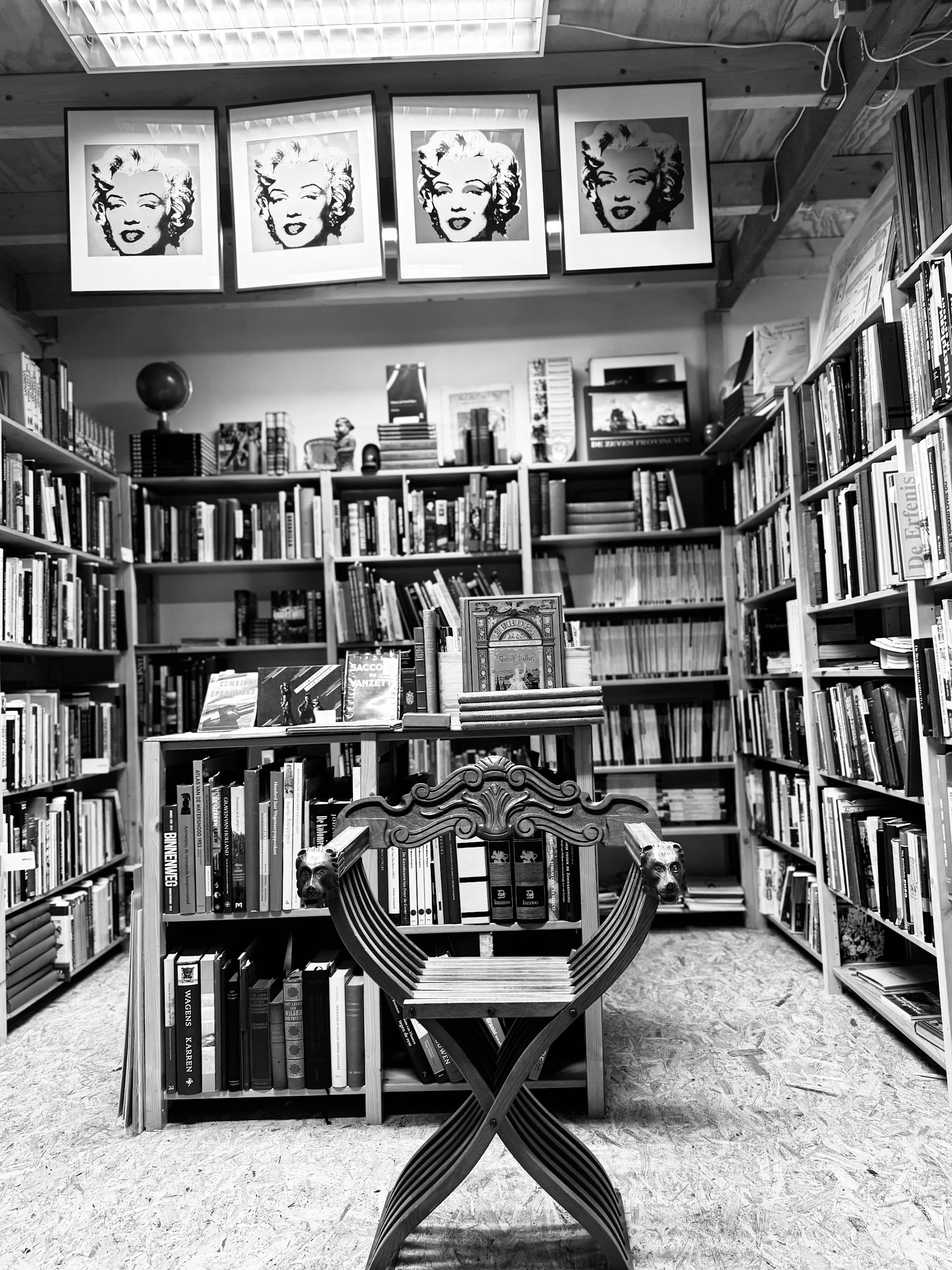 Boekenkasten langs de wanden vol met boeken en LP's, met een decoratief beeldhouwwerk in het midden