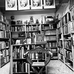 Boekenkasten langs de wanden vol met boeken en LP's, met een decoratief beeldhouwwerk in het midden