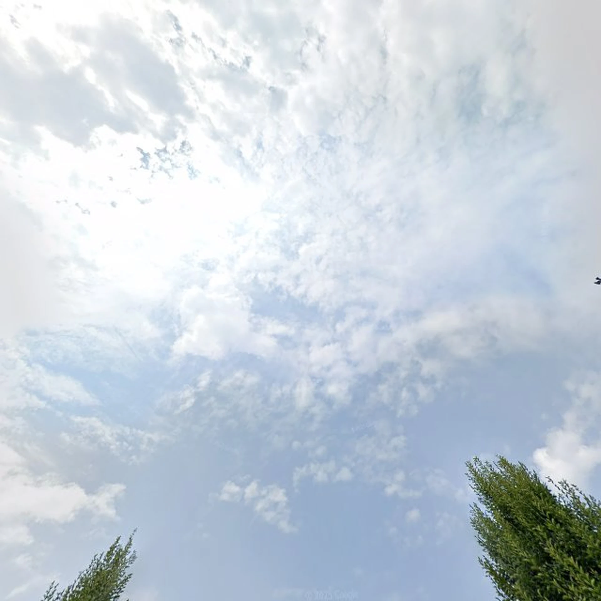 Kringloopwinkel Kringloopwinkel Kavel75 in Achterveld