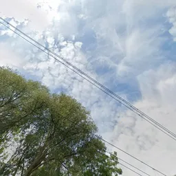 Kringloopwinkel Kringloopwinkel Kees Talen in Den Haag