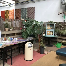 Binnenaanzicht van kringloopwinkel met tafels, planten, decoratiestukken en diverse spullen op stellingen