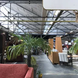 Winkelvloer met plantenuitstalling, houten meubels en glasdak in kringloopwinkel