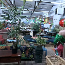 Binnenaanzicht kringloopwinkel met plantenrekken, decoraties en diverse spullen verspreid door de ruimte
