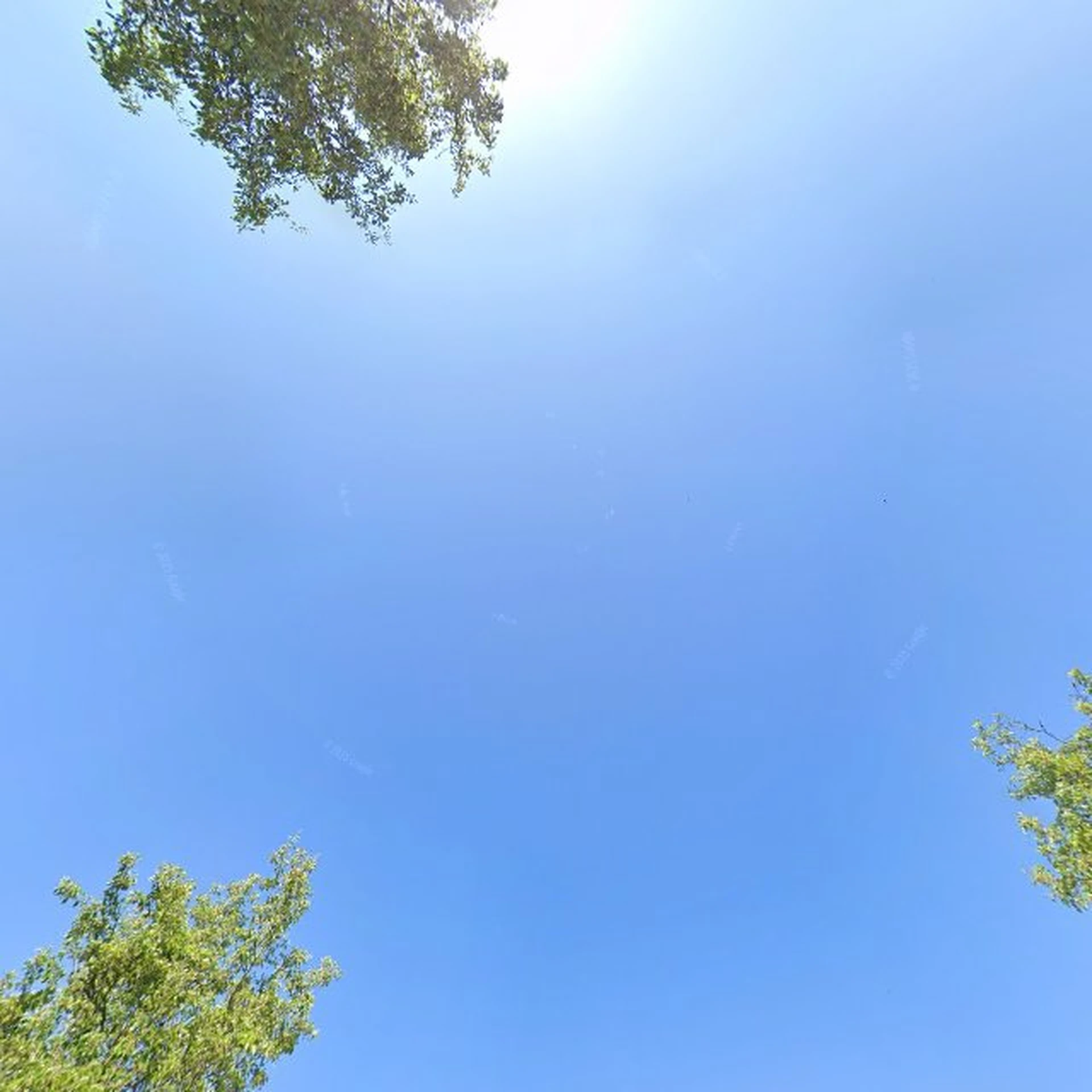 Kringloopwinkel Kledingbank Zwijndrechtse Waard in Zwijndrecht