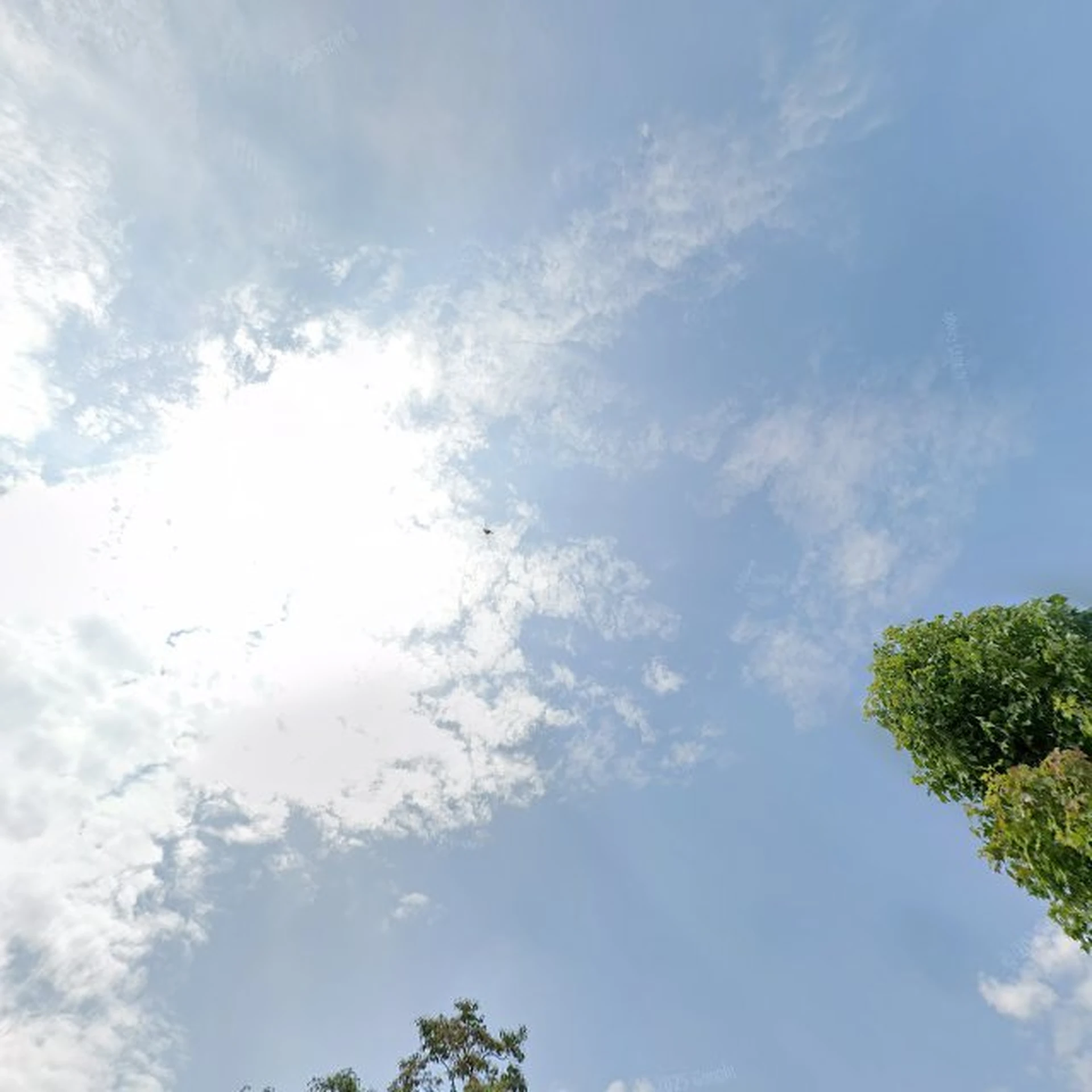 Kringloopwinkel Kledingkringloop Zwijndrecht in Zwijndrecht