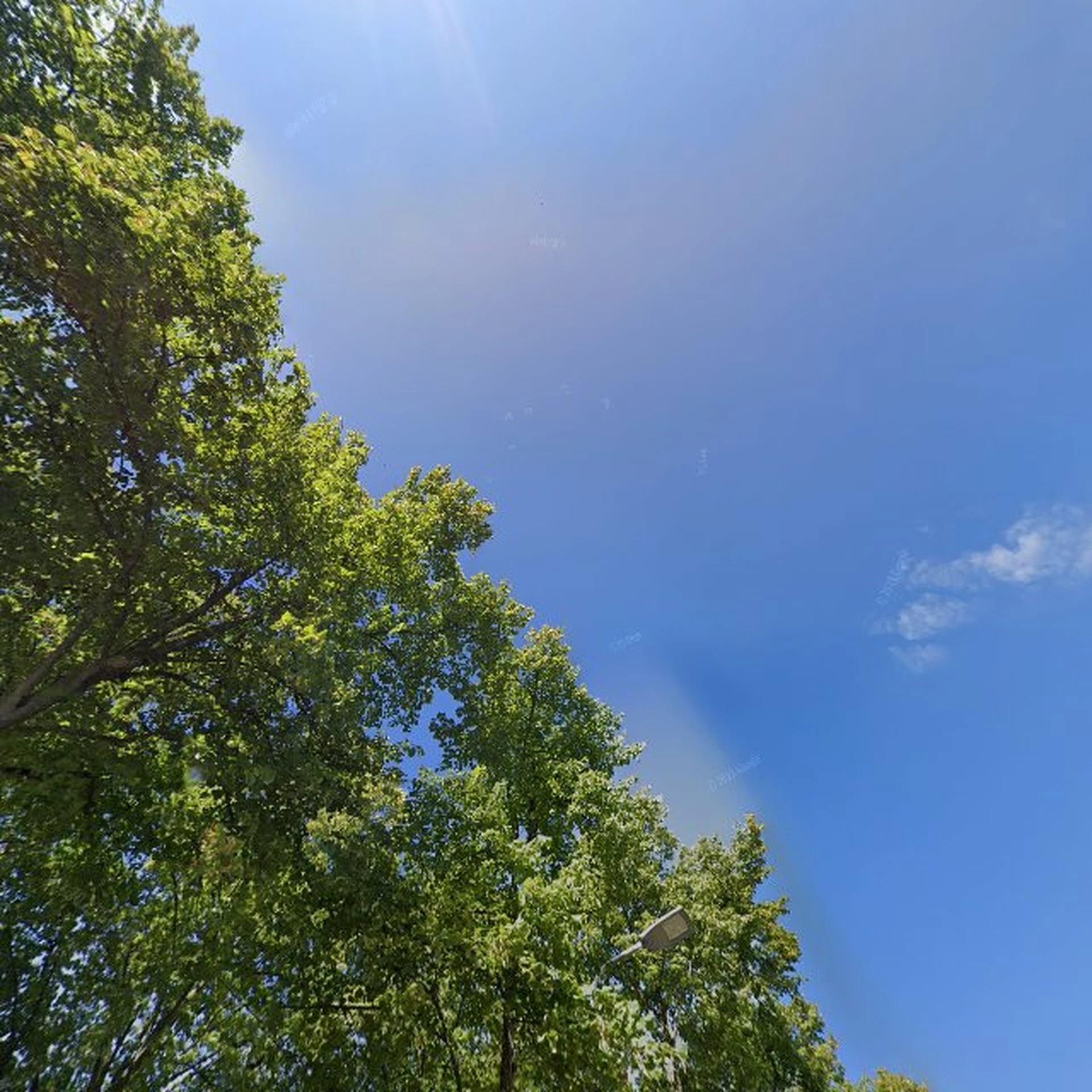 Kringloopwinkel Kringloopwinkel Klein Waterlooplein in Utrecht