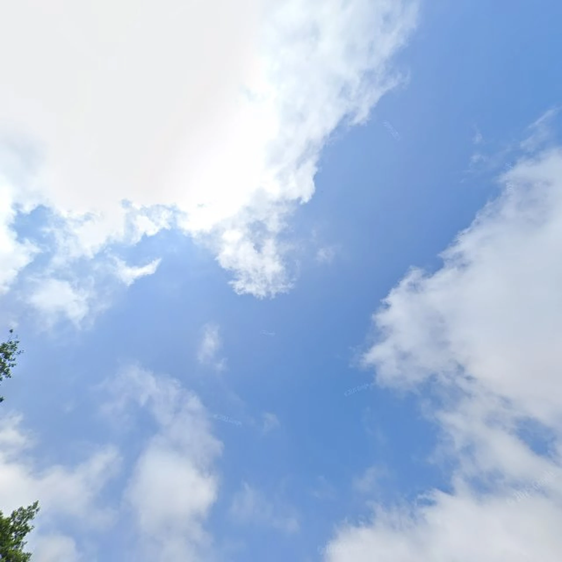 Kringloopwinkel Kringloopwinkel Koek's Place in Purmerland