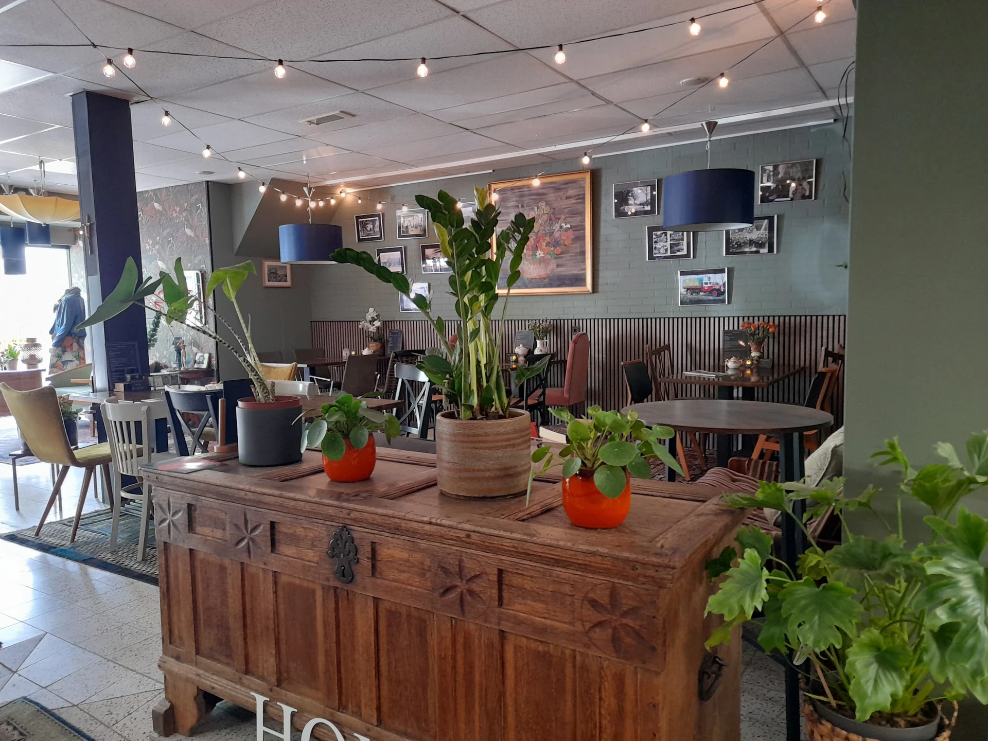 Gezellig ingerichte koffiehuis met houten kastmeubel, potplanten, verlichting en zithoeken op de achtergrond