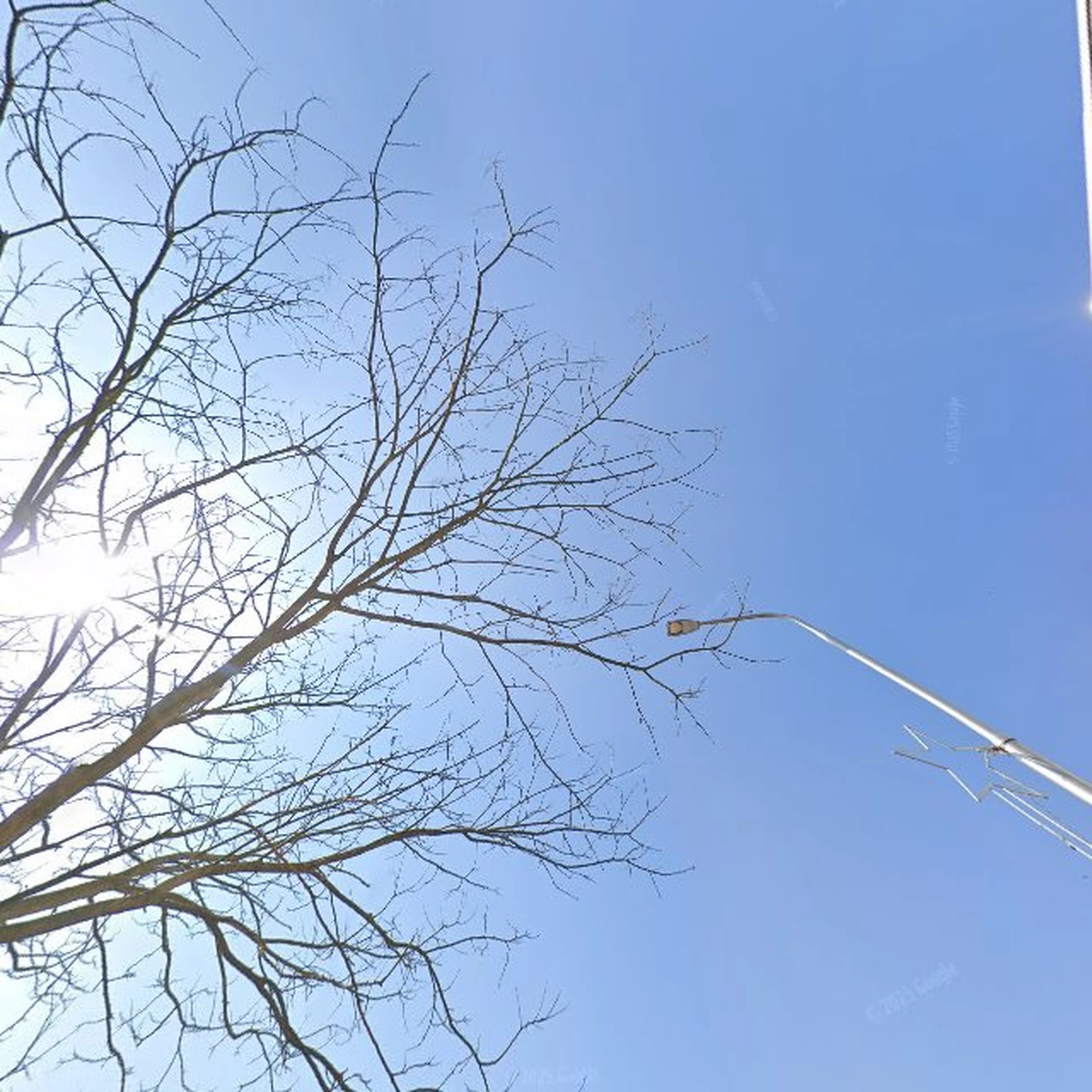 Kringloopwinkel Koffiehuis & Kringloop Alverna in Wijchen