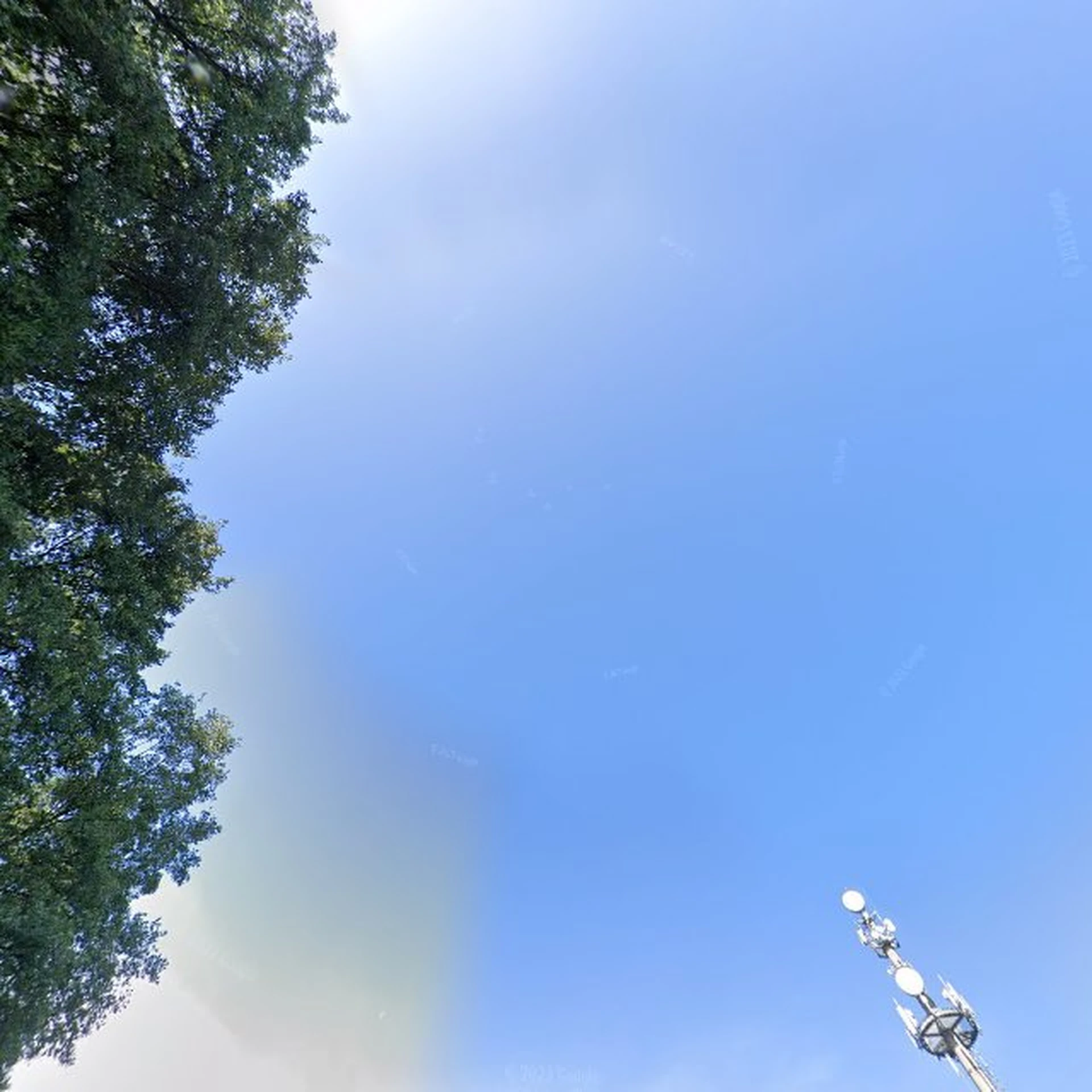 Kringloopwinkel KOLPING WERKSTÄTTEN PAPENBURG in Papenburg