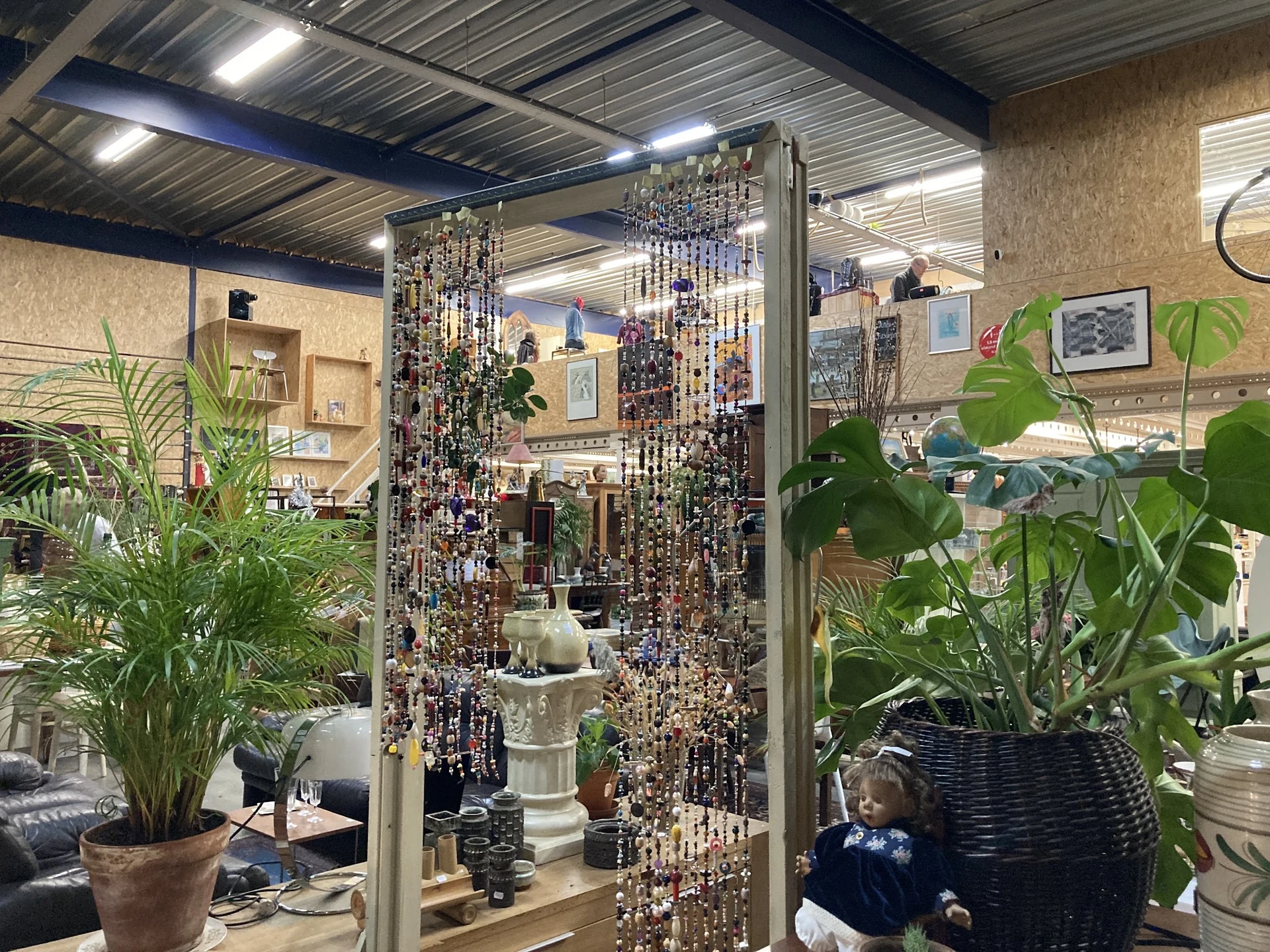 Binnenaanzicht van kringloopwinkel met plantenuitstalling, wanddecoratie en beaded gordijnen