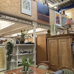 Interieur van kringloopwinkel met stellingen, kunstwerken aan muur, houten meubels, planten en decoratie