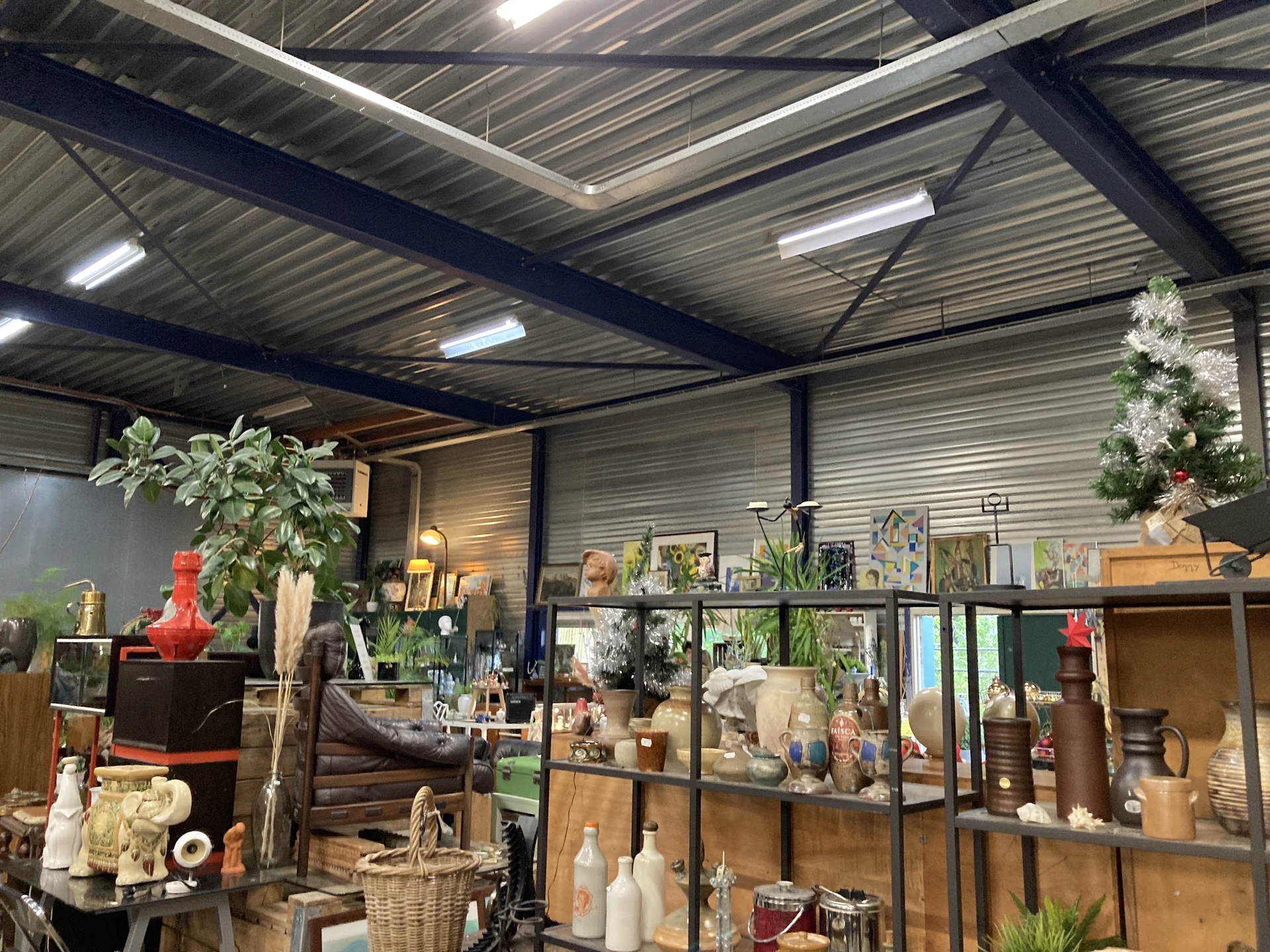 Overzicht van de winkelruimte met stellingen vol decoratieartikelen, plantenpotten en vintage spullen onder industriële verli